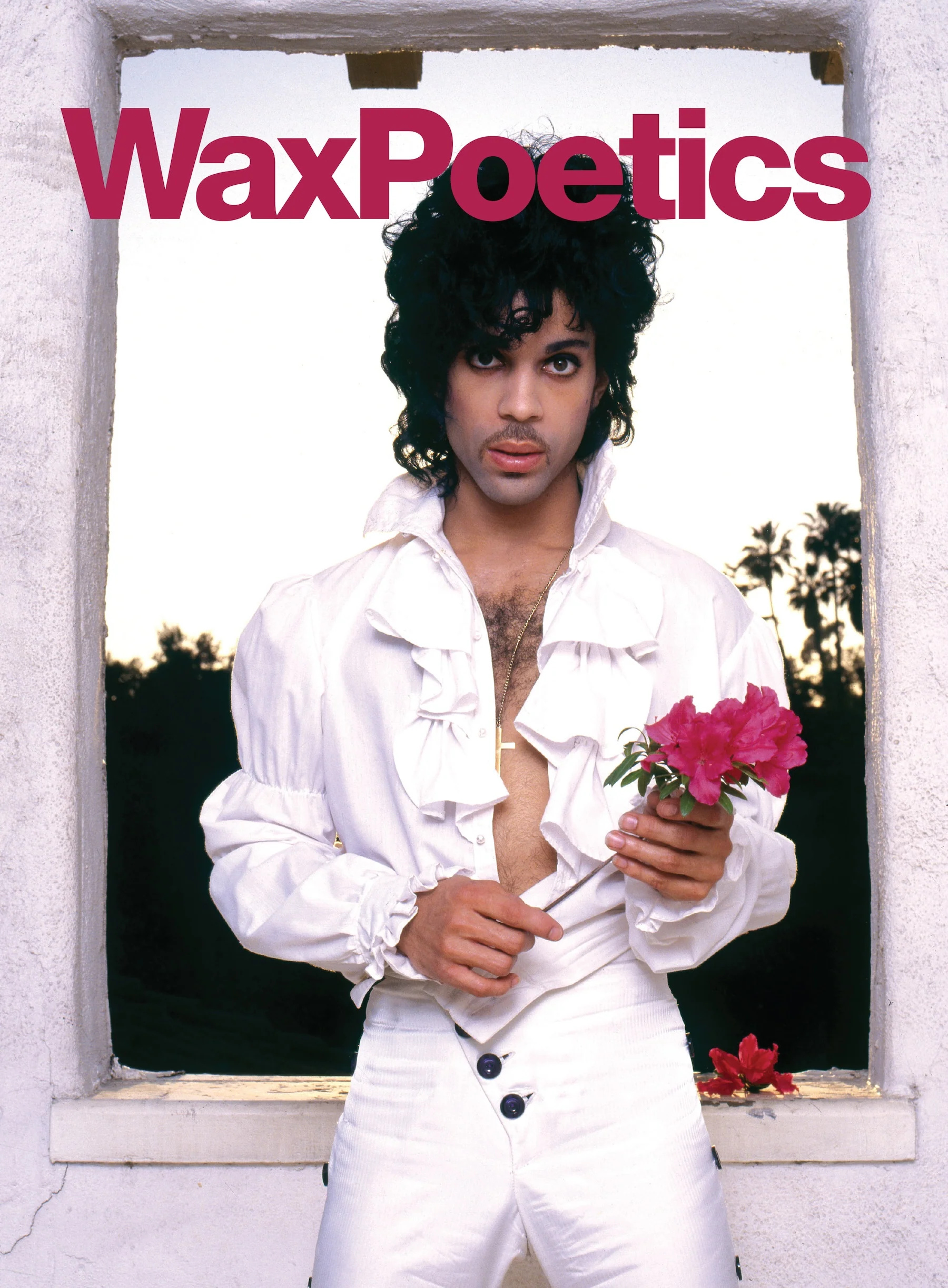 Digital Issue 67: Prince