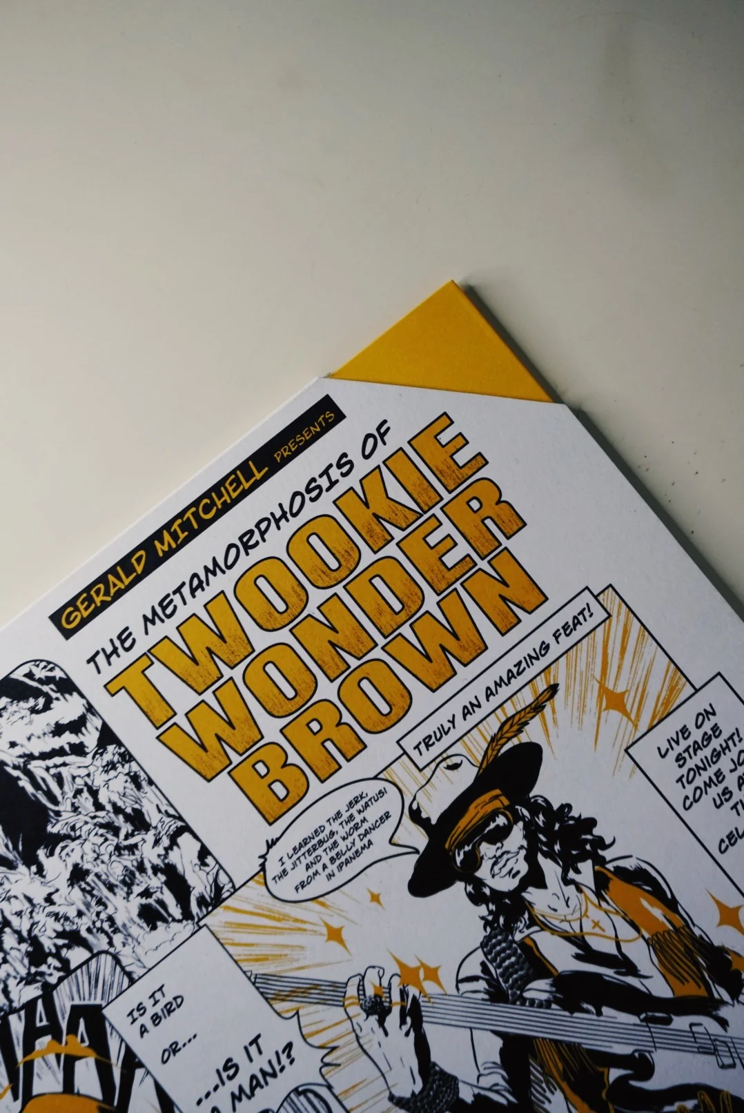 Gerald Mitchell - The Metamorphosis of Twookie Wonder Brown - Image 13