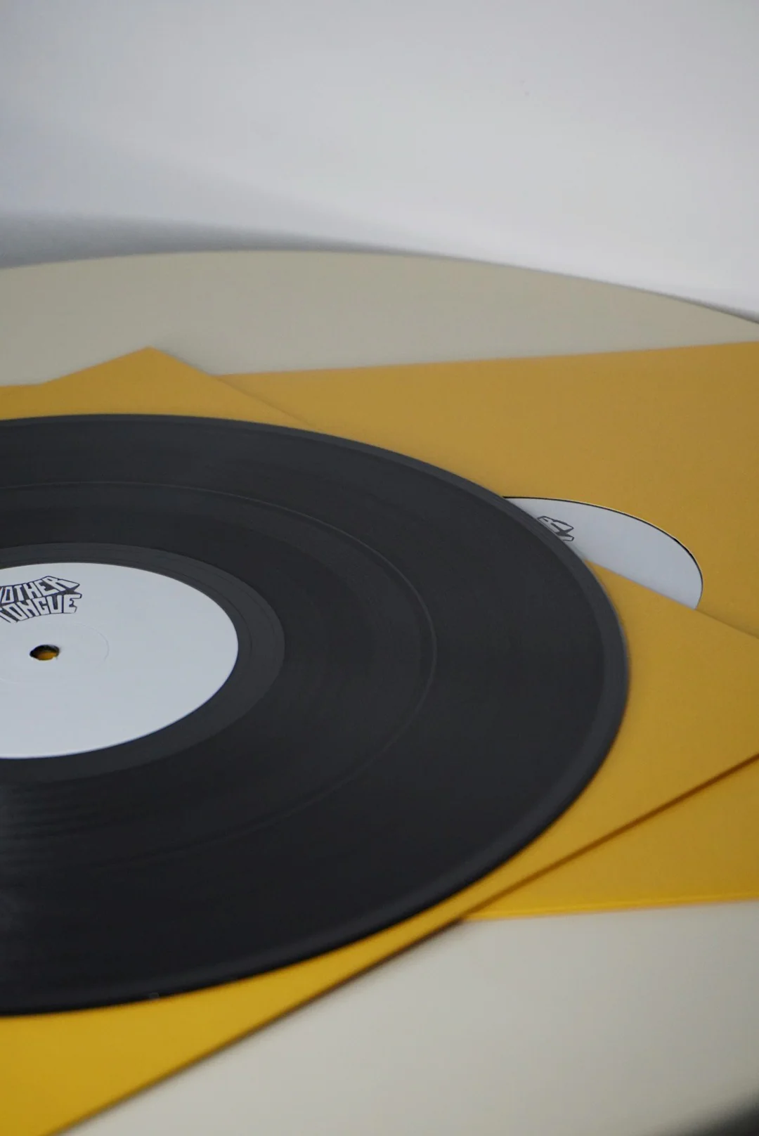 Patrick Gibin "Strength in Numbers" 2LP - Image 12