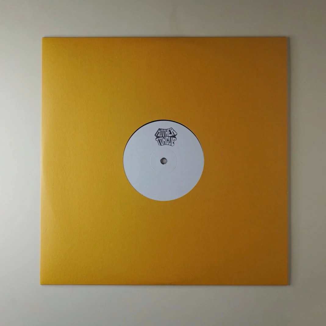 Patrick Gibin "Strength in Numbers" 2LP - Image 3