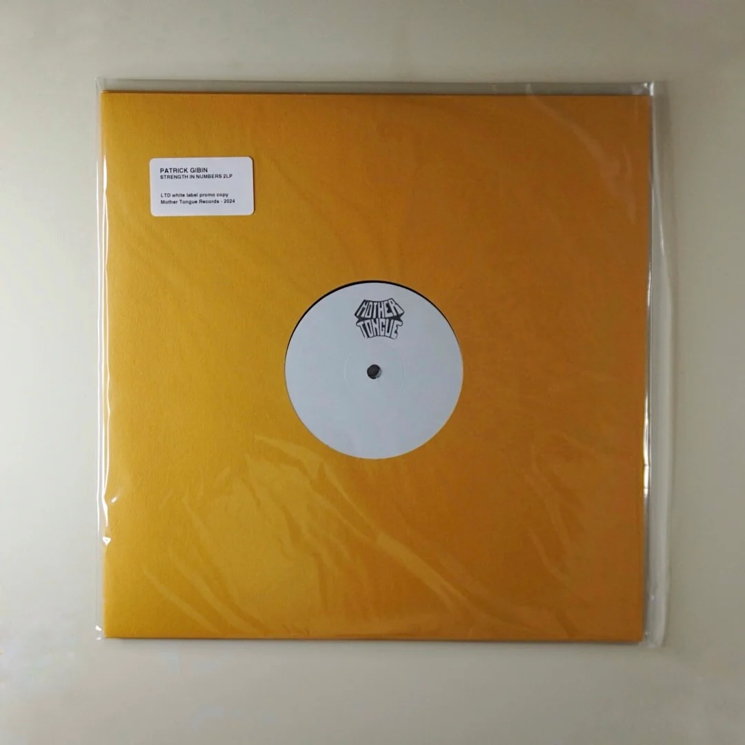 Patrick Gibin "Strength in Numbers" 2LP - Image 4